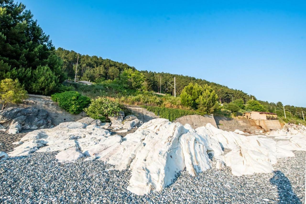 Park-hotel Abkhazia Tsandrypsh Bagian luar foto